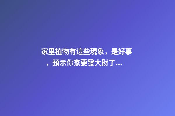 家里植物有這些現象，是好事，預示你家要發大財了！